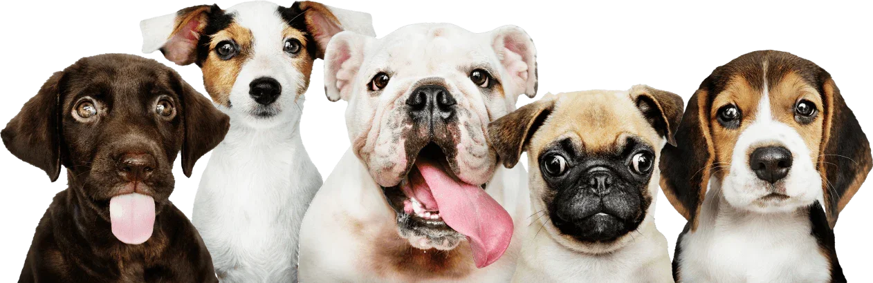 Welcome to Our Store